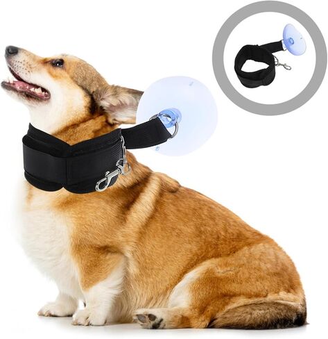 Merryhapapy Dog Bath Leash حامل للاستحمام للحيوانات الأليفة القابلة للتعديل للقطط والكلاب لتمزيق الأظافر وقطع الشعر in Saudi Arabia