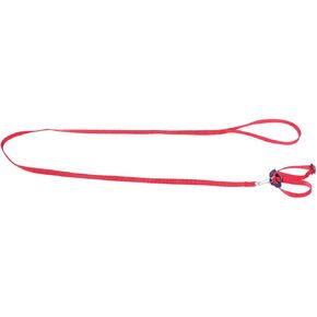 Bird Hamster Turtle Lizard Leash Pet Pulling Rope Parrot Leash Material for Walking in Saudi Arabia