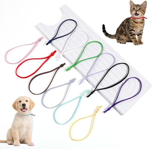 60pcs أطواق متطابقة للضرب ، وترابطات الجرو المرنة أرقام التعريف الملونة حلقات التعريف القابلة للتعديل لجرى حديثي الولادة والقطط 12 لونًا (صغير 3 بوصة) in Saudi Arabia