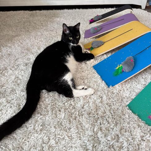 Nail-Filing Scratch Pad (Black) in Saudi Arabia