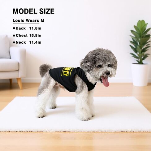 2Pack Puppy Dortts for Dogs Small Dogs Boy ، ملابس جرو للذكور ، ملابس الحيوانات الأليفة ، قميص أليف خفيف الوزن وتنفس ، ملابس الكلاب ، Chihuahua & Teddy & Yorkies & Dachshund & Teacup Top Tank (Medium) in Saudi Arabia