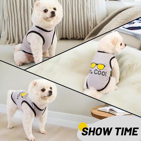 2Pack Puppy Dortts for Dogs Small Dogs Boy ، ملابس جرو للذكور ، ملابس الحيوانات الأليفة ، قميص أليف خفيف الوزن وتنفس ، ملابس الكلاب ، Chihuahua & Teddy & Yorkies & Dachshund & Teacup Top Tank (Medium) in Saudi Arabia