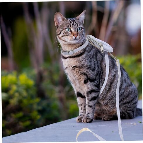 1SET CAT تسخير ومقود للمشي على الهروب على ظهر حقيبة الظهر خفيفة الوزن وسهلة الاستخدام للحيوانات الأليفة للقطط والقطط in Saudi Arabia