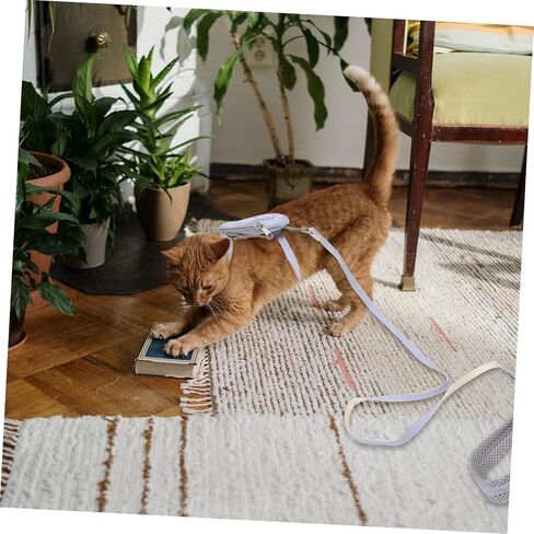 1SET CAT تسخير ومقود للمشي على الهروب على ظهر حقيبة الظهر خفيفة الوزن وسهلة الاستخدام للحيوانات الأليفة للقطط والقطط in Saudi Arabia