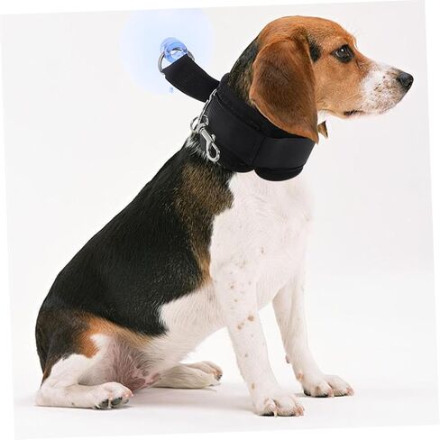 حيوان أليف الاستحمام كوب كوب حامل الكلب الأداة كات الكلب الاستحمام المقود in Kuwait