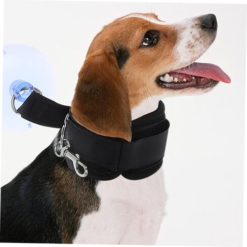 حيوان أليف الاستحمام كوب كوب حامل الكلب الأداة كات الكلب الاستحمام المقود in Kuwait