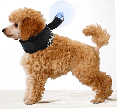 حيوان أليف الاستحمام كوب كوب حامل الكلب الأداة كات الكلب الاستحمام المقود in Kuwait