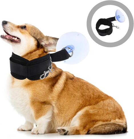 حيوان أليف الاستحمام كوب كوب حامل الكلب الأداة كات الكلب الاستحمام المقود in Kuwait