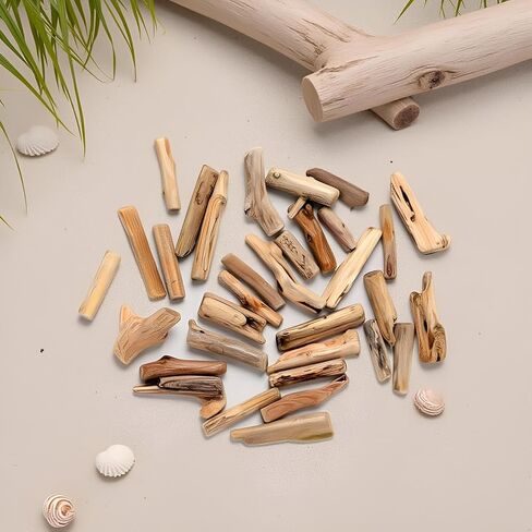 20pcs قطع الخشب الطبيعية - ديكور شاطئ مختلط بحجم DIY | شرائح وفروع خشبية ريفية لحشو المزهرية ، إطارات الصور ، لوازم الحرف ، الحرف الخشبية الطبيعية in Kuwait