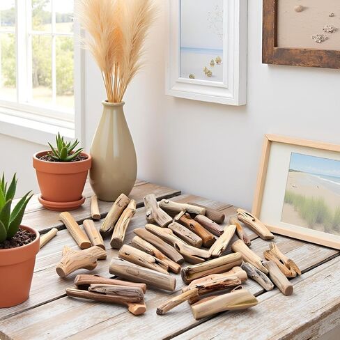 20pcs قطع الخشب الطبيعية - ديكور شاطئ مختلط بحجم DIY | شرائح وفروع خشبية ريفية لحشو المزهرية ، إطارات الصور ، لوازم الحرف ، الحرف الخشبية الطبيعية in Kuwait
