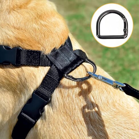 Small Carabiner Clips 16 Pcs Spring D Rings Spring Snap Hook Carabiner Keychain Key Hooks Buckles Clasp for Sewing Dog Collar Purse Shoulder Bag Chain Paracord Lanyard Trigger D-Rings Keyrings in Saudi Arabia