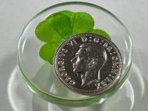 رمز جيب لوكس لوكس لوكس ، المحفوظ ، 1.25 "، بما في ذلك Sixpence Coin (George VI) in Kuwait