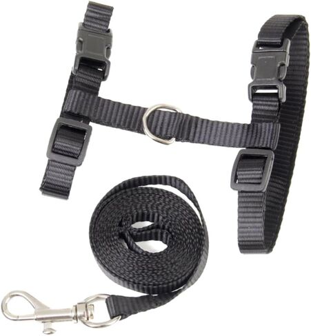 GANAZONO Djustable Kitten Harness Retractable Leash Cat Walking Harness and Leash Traction Rope Black in Saudi Arabia