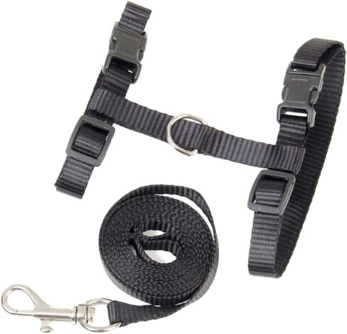 MERRYHAPEAL PET CAT CAT CATTEN TWERNANCE THEDALE SANIDAL SANIDE STRAP DESIGN in Saudi Arabia
