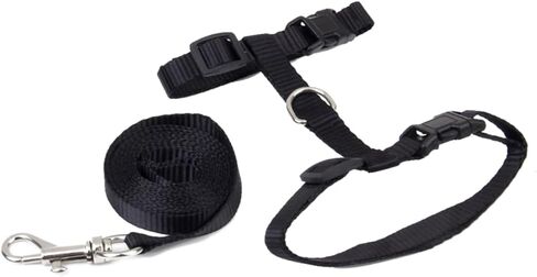 MERRYHAPEAL PET CAT CAT CATTEN TWERNANCE THEDALE SANIDAL SANIDE STRAP DESIGN in Saudi Arabia