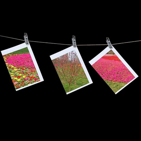 100pcs Photo Clips Mini Transparent Plastic Clear Paper Clips Mini Clothes Pins for Photos String Fairy Lights (100) in Saudi Arabia