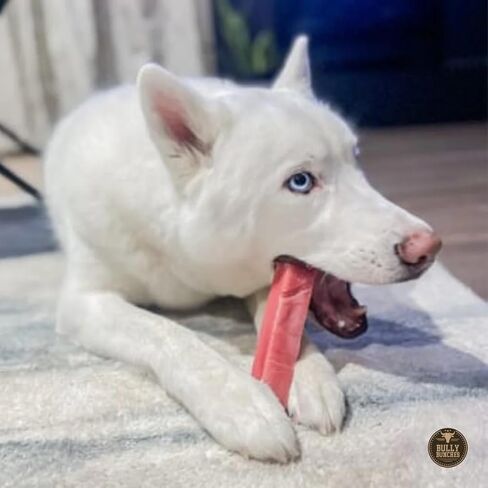 Bully Bunches Premium Fruit-Slavory Himalayan Yak Chew for Dogs-100G ، All-Natural ، الطويل الأمد ، حليب Yak الأصيل ، مضغ الأسنان الصحي ، البروتين العالي (المتوسط ​​المتنوع-4pk ، متنوع) in Kuwait