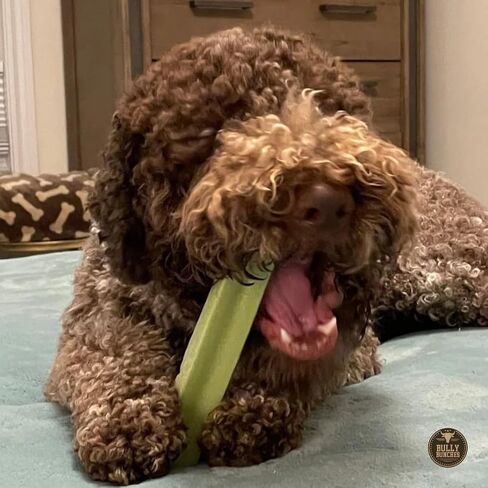 Bully Bunches Premium Fruit-Slavory Himalayan Yak Chew for Dogs-100G ، All-Natural ، الطويل الأمد ، حليب Yak الأصيل ، مضغ الأسنان الصحي ، البروتين العالي (المتوسط ​​المتنوع-4pk ، متنوع) in Kuwait