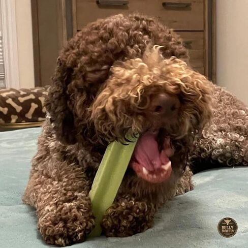 Bully Bunches Premium Fruit-Slavory Himalayan Yak Chew for Dogs-100G ، All-Natural ، الطويل الأمد ، حليب Yak الأصيل ، مضغ الأسنان الصحي ، البروتين العالي (المتوسط ​​المتنوع-4pk ، متنوع) in Kuwait
