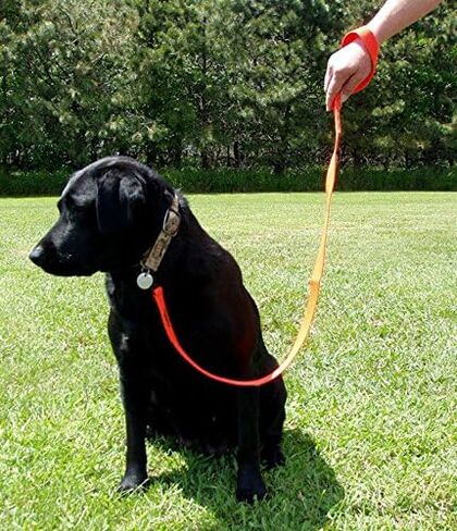 Avery Sporting Dog Standard Leash - مقود دائم للصيد والتدريب للسيطرة والطاعة (CAMO) in Saudi Arabia