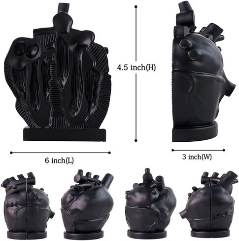 mildahjoy Brain Bookends, 6.5Inch Tall Brain Decorative Resin Book Shelf Organizers Book Holders Shelf Dividers Book Ends for Home or Office Shelves Brain Sculpture Bookend Set in Saudi Arabia