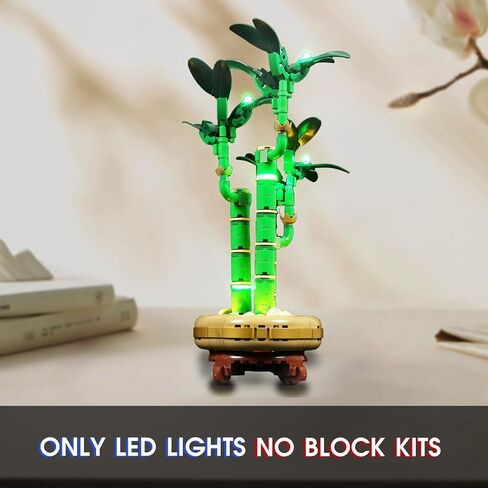 Vaodest LED Light for Lego 10344 Lucky Bamboo Set(Compatible with Lego 10344 Building Block,LED Light Only) in Kuwait