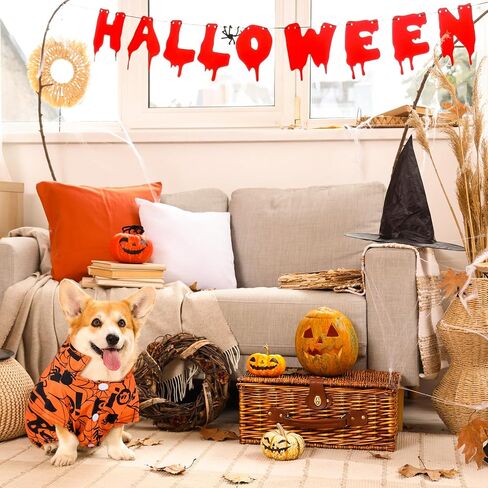 Weewooday 4 Pack Halloween Dog Dogts Halloween Pet Costumes Funny Mustring Ghost Bat Bath Battonon Soft Dog T-Shirt Outfit Offit Pet for Small Medium Earge Dogs Cats Cosplay Party Apparel (XL) in Saudi Arabia