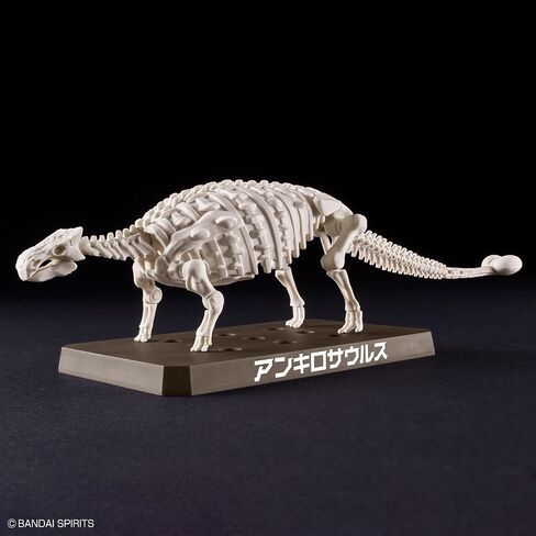 Hobby Bandai - Plannosaurus - #06 Ankylosaurus Dinosaur Kit in Saudi Arabia