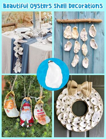 30 PCS قذائف محار مسطحة 4-5 "قذائف محار مقعرة طبيعية للحرف اليدوية المزهرية DIY Party Party Coastal Shell Art Supplies in Kuwait