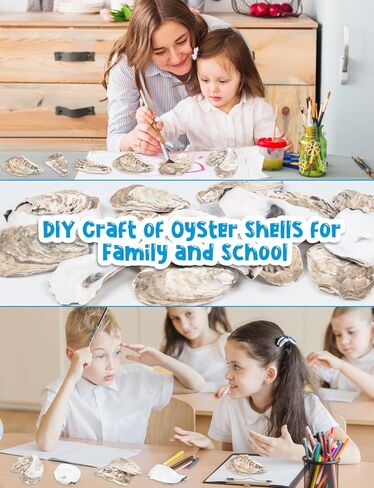 30 PCS قذائف محار مسطحة 4-5 "قذائف محار مقعرة طبيعية للحرف اليدوية المزهرية DIY Party Party Coastal Shell Art Supplies in Kuwait