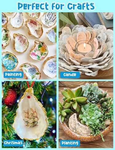 30 PCS قذائف محار مسطحة 4-5 "قذائف محار مقعرة طبيعية للحرف اليدوية المزهرية DIY Party Party Coastal Shell Art Supplies in Kuwait