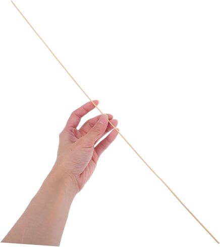 Kisangel 20pcs Thin Bamboo Kite Sticks for Boys and Girls Lightweight Craft Dowels for DIY Kite Assembly and Repair Children's Outdoor Activities in Saudi Arabia