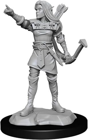 المنمنمات الرائعة لـ D & D Nolzur: ELF Ranger Female in Saudi Arabia