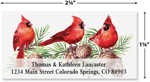 Cardinal Wishes Christmas Personalized Deluxe Return Address Labels- Set of 144 1-1/8" x 2-1/4" Self-Adhesive, Flat-Sheet Labels, by Colorful Images in Saudi Arabia