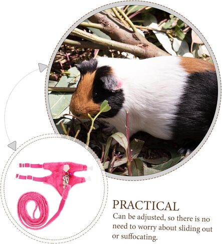 Garneck Pet Vest Leash for Animals No Pull Ferret Harness Kit Sturdy Materials in Saudi Arabia