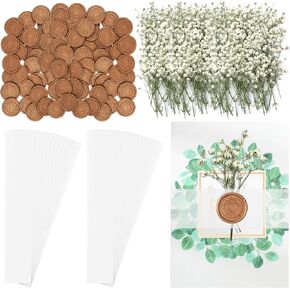 100 Pcs Vellum Belly Bands for 5 x 7 Wedding Invitations Clear Invitation Band with 100 Pcs Dried Baby's Breath Flowers 50 Pcs Gold Wax Seal Stickers for Wedding Invitation Wraps Accessories