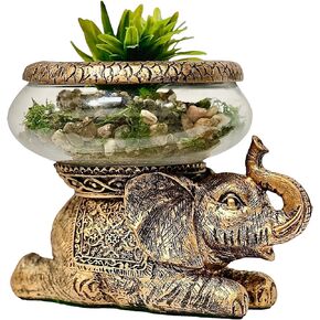 New Good Luck Decorative Gold Antiqued Elephant Glass Bowl,Terrarium or Candle Holder with Color Gift Box