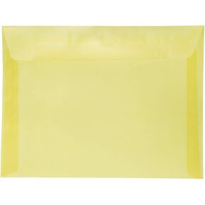 JAM PAPER 9 x 12 Booklet Translucent Vellum Envelopes - Clear - 25/Pack
