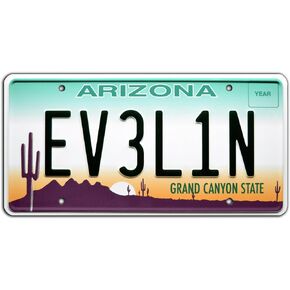 Twisted Metal | EV3L1N | Metal Stamped License Plate