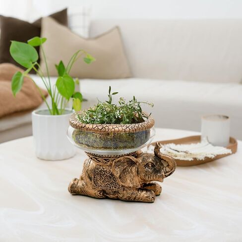 New Good Luck Decorative Gold Antiqued Elephant Glass Bowl,Terrarium or Candle Holder with Color Gift Box in Saudi Arabia