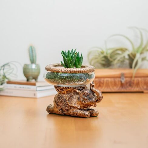 New Good Luck Decorative Gold Antiqued Elephant Glass Bowl,Terrarium or Candle Holder with Color Gift Box in Saudi Arabia