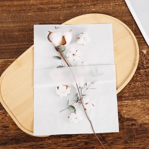 50pcs Vellum Belly Band, Clear Invitation Band for 5x7 & 4x6 Inch Invitations Postcard Vellum Wedding Invitations Wrap Vellum Paper Belly Band for Decorating Invitations Envelopes in Saudi Arabia