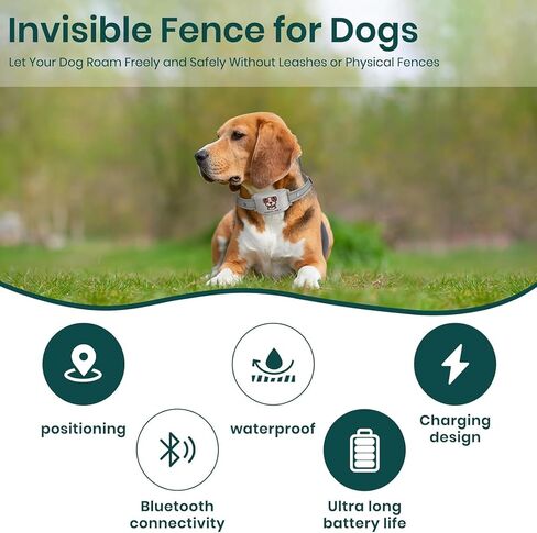 Heavy Duty Dog Collars for Medium and Large Dogs - Adjustable, Chew Proof Nylon Collar with Quick Release Buckle and D-Ring in Saudi Arabia
