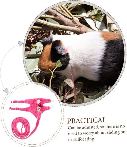 GALPADA Pet Traction Vest for Ferrets Lightweight Walking Leash with Bell Durable Outdoor Supplies for Pets Random Color in Saudi Arabia