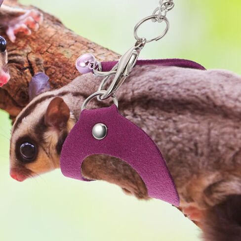 Totority Adjustable Sugar Glider Traction Harness Bite-Resistant Leash Small PET Pulling Rope for Outdoor Use Soft and Comfortable Design Random Style in Saudi Arabia