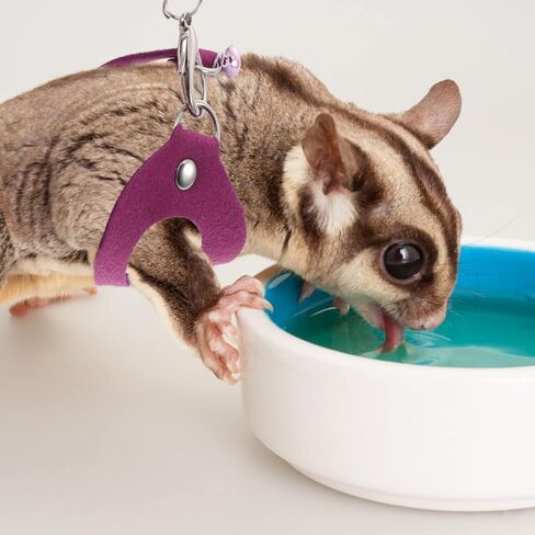 Totority Adjustable Sugar Glider Traction Harness Bite-Resistant Leash Small PET Pulling Rope for Outdoor Use Soft and Comfortable Design Random Style in Saudi Arabia