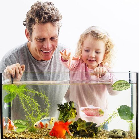 5pcs Betta Hammock Set, Plastic Adjustable Betta Leaf Hammock with Suction Cup & Clear Tube Tunnel Beta Bed Resting Spot Small Fish Toys Aquarium Hideout Beta Fish Tank Decorations Decor Accessories in Saudi Arabia