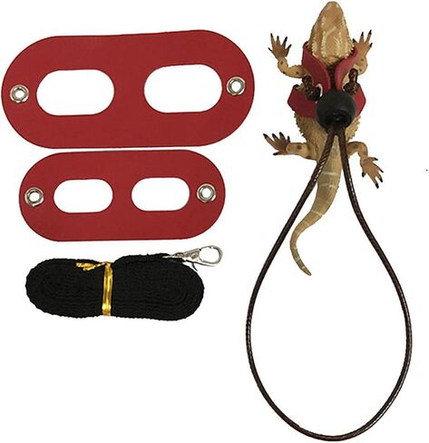 Totority 2SET Lizard Harness REPTILE ROPE PET HAULING NO WIND محاكاة للخيوط وسلحفاة السلحفاة in Saudi Arabia