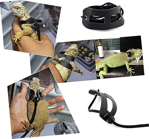 Totority 2SET Lizard Harness REPTILE ROPE PET HAULING NO WIND محاكاة للخيوط وسلحفاة السلحفاة in Saudi Arabia