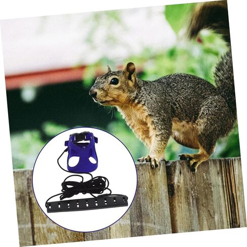 Hemoton Pet Harness مجموعة حبل الجر لـ Ginea Pig Hamster Ferret Rat Squirrel Squirrel مريح المشي in Kuwait